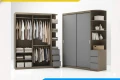 Tủ quần áo 3 cánh 1 kệ gỗ mdf (Ckd81) 2