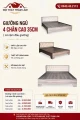 Giường Ngủ Nệm Gỗ MDF ( GNN08) 1