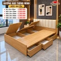 Giường Ngủ Thông Minh Cánh Lật ( tntmcl01) 1