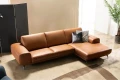 Sofa cao cấp SC0024 0