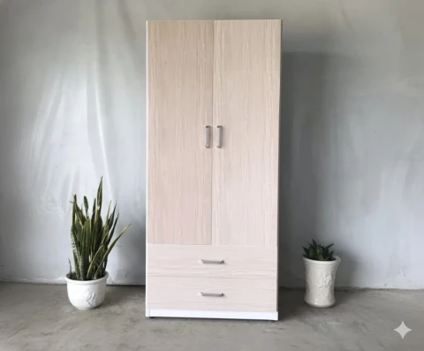 Tủ quần áo nhựa 2 cánh